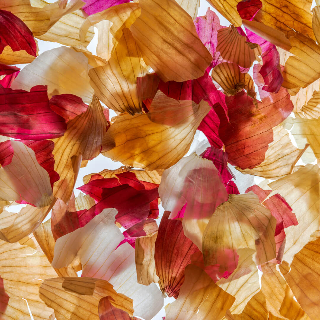 Dyeing with Food Waste: Turn Kitchen Scraps into Natural Dyes