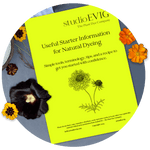 Booklet titled 'Useful Starter Information for Natural Dyeing' by Studio EVIG surrounded by flowers on a dark background.