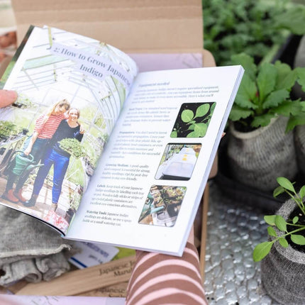 Person reading a 'How to grow Japanese indigo' booklet with plants and pots in the background