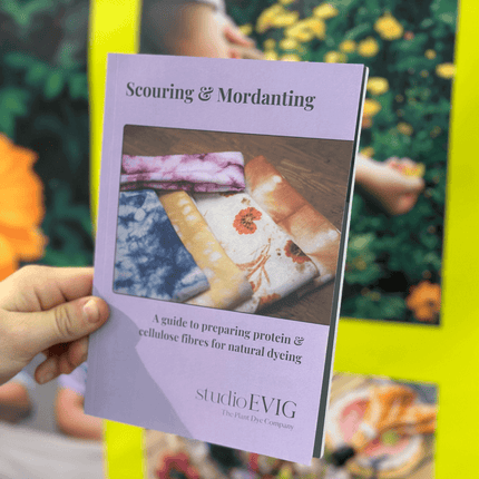 Hand holding a purple guide titled 'Scouring & Mordanting' by studioEVIG with fabric samples on a blurred background.