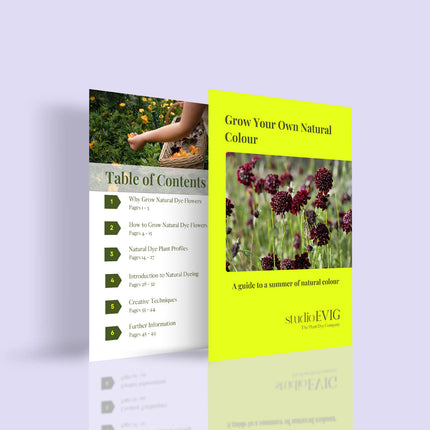 Booklet titled 'Grow Your Own Natural Colour' by studioEVIG on a light purple background