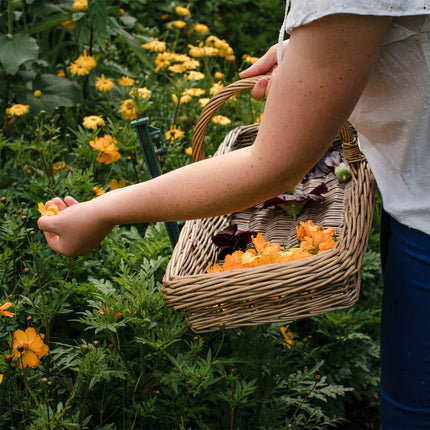 Grow Your Own Natural Colour – Comprehensive Guide by studioEVIG (Physical Copy)