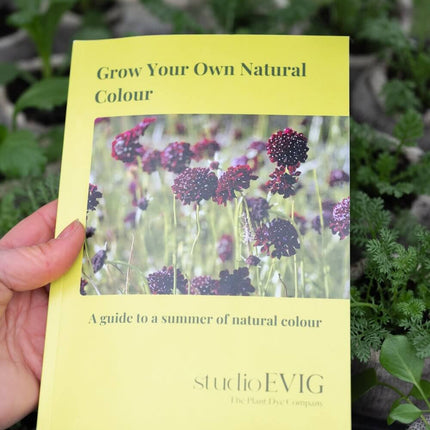 Yellow book titled 'Grow Your Own Natural Colour' held by a hand with plants in the background