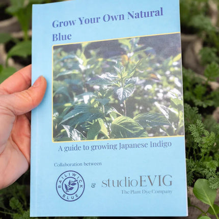 How to Grow Japanese Indigo – A Collaboration with Bailiwick Blue (Physical Copy)