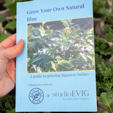 Hand holding a 'Grow Your Own Natural Blue' guide with plants in the background